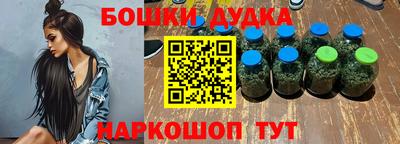 мдпв Новодвинск
