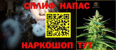 мдпв Новодвинск