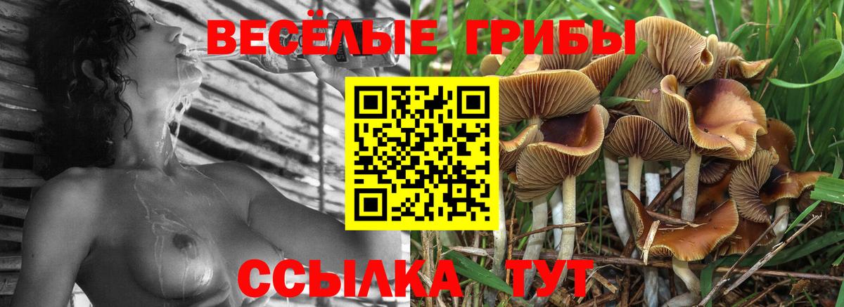 Галлюциногенные грибы ЛСД  Вход с VPN  Галлюциногенные грибы мицелий  Славгород 